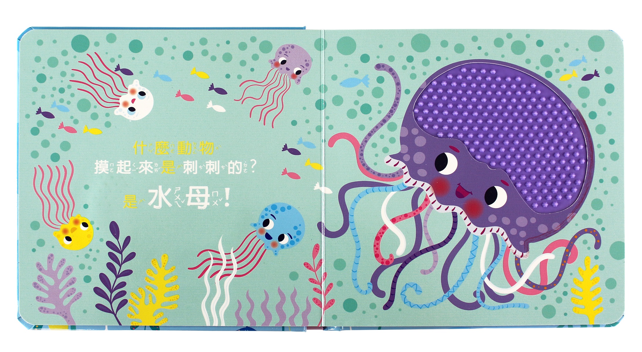神祕的海洋-觸摸認知書